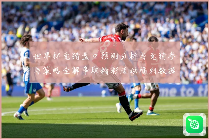 世界杯竞猜盘口预测分析与竞猜参与策略全解争取精彩活动福利数据研判-深度解析