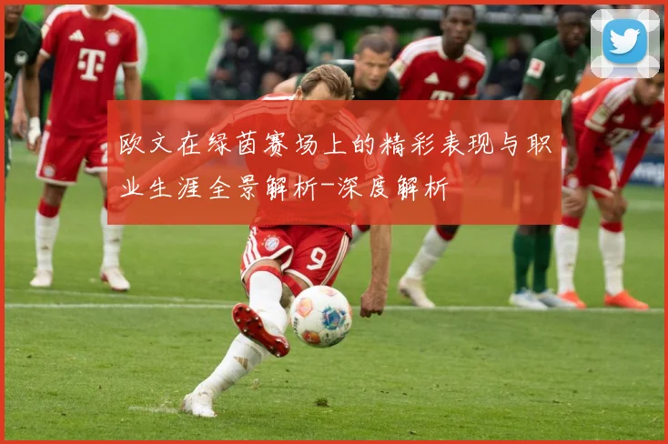 欧文在绿茵赛场上的精彩表现与职业生涯全景解析-深度解析